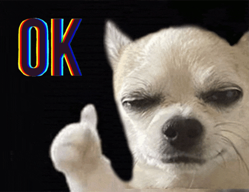 a dog is giving a thumbs up with the word ok behind it