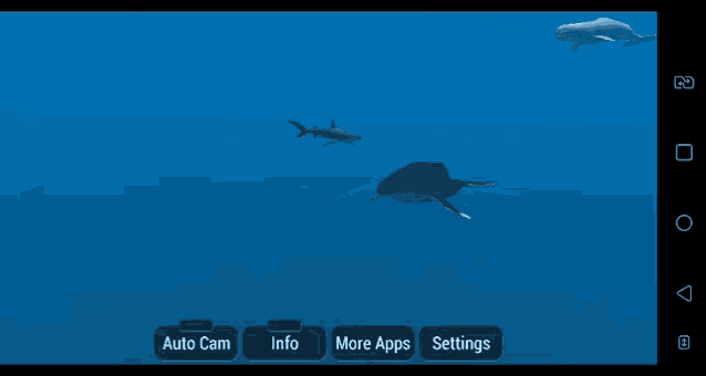 a screen shows whales in the ocean and says auto cam info and more apps settings