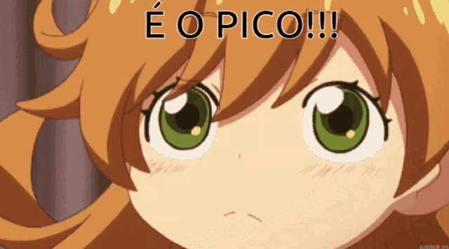 a close up of a girl 's face with the words " e o pico " above it