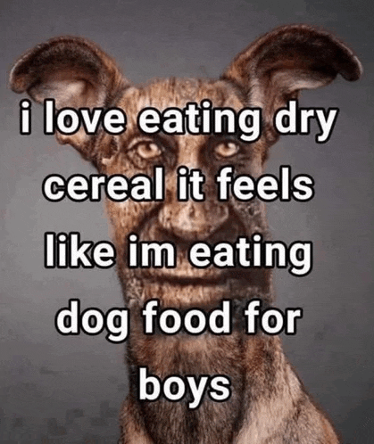 a picture of a dog with the words i love eating dry cereal it feels like im eating dog food for boys written below it