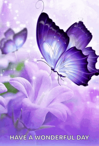 a purple butterfly is on a purple flower with the words have a wonderful day