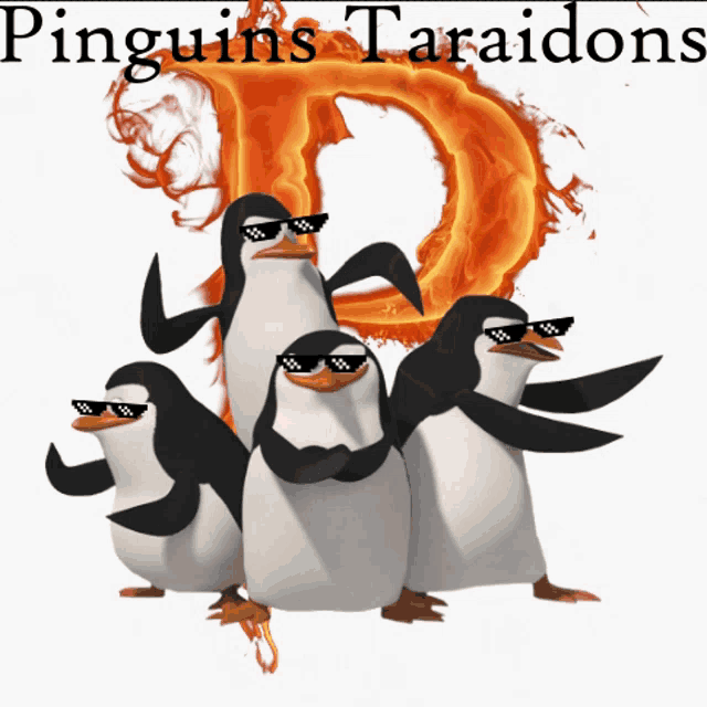 a group of penguins wearing sunglasses are standing in front of a large letter d