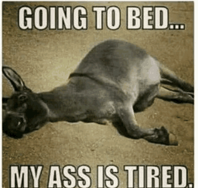 a donkey is laying on the ground with a caption that says going to bed my ass is tired .