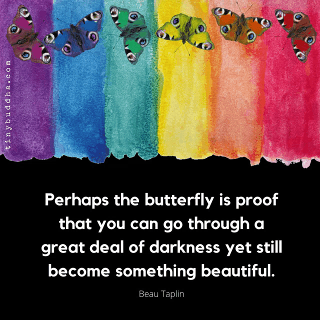 a rainbow of butterflies with a quote from beau tapin