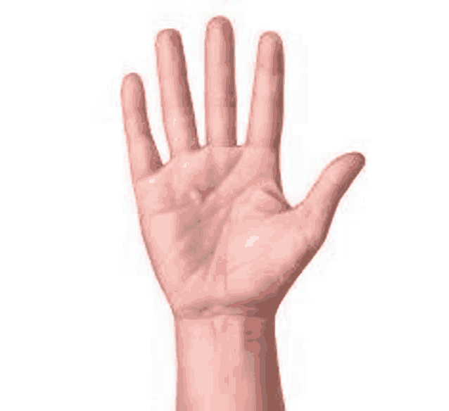 a close up of a person 's hand reaching out towards the camera .