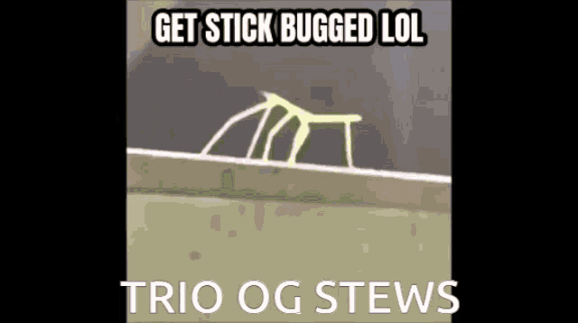 a picture of a stick with the words get stick bugged lol trio og stews