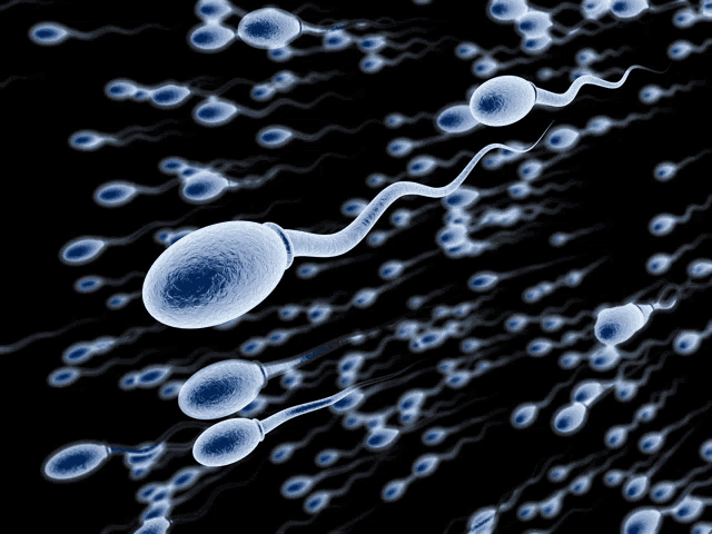 a computer generated image of sperm cells floating in the air