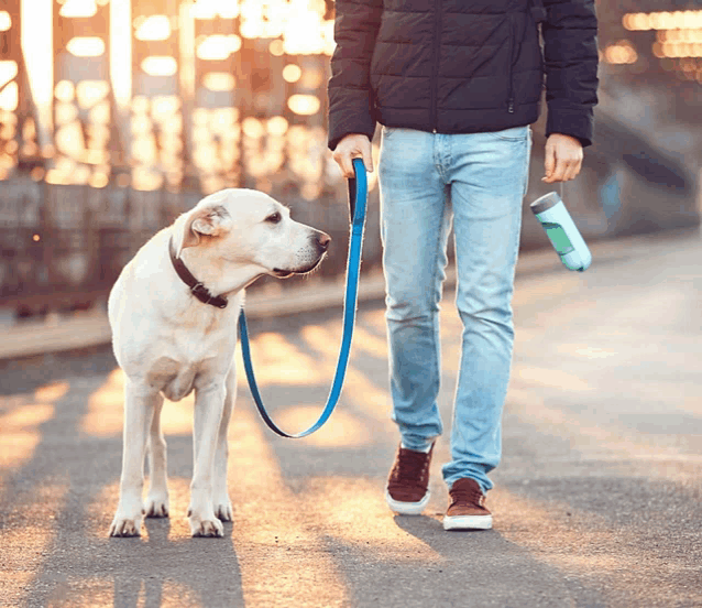 a man is walking his dog on a leash