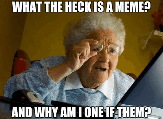 an elderly woman is looking at a computer screen with the caption " what the heck is a meme "