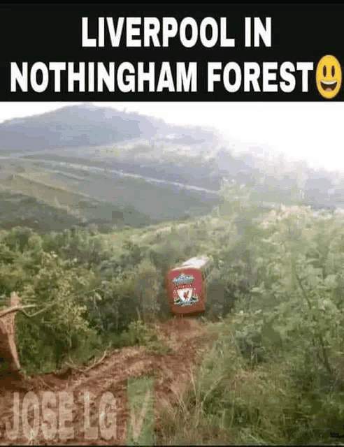 a liverpool bus is sitting on top of a hill in the woods .