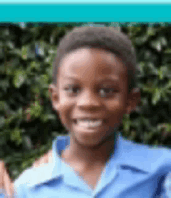 a young boy in a blue shirt is smiling for the camera while standing in front of a bush .