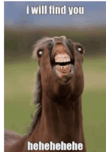 a horse with its mouth open and a caption that says i will find you .