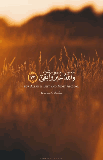 a picture of a field with the words " for allah is best and most abiding " written on it