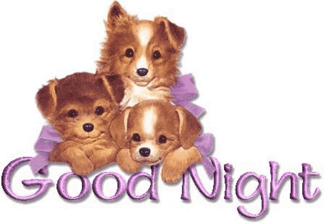 three puppies are sitting next to each other and the words `` good night '' are written above them .