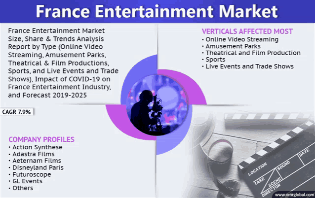 france entertainment market size share & trends analysis report by type online video streaming amusement parks