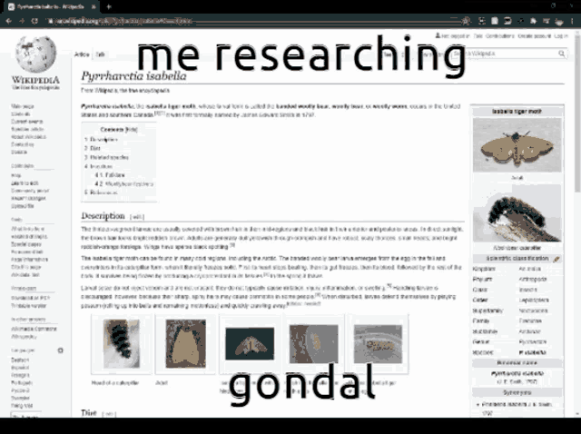 a computer screen with the words me researching gondal on it