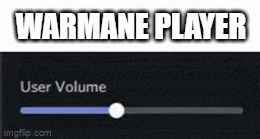 a screenshot of a video game with the words `` warmane player '' and a user volume slider .