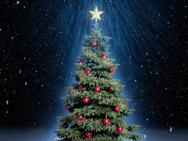 a christmas tree with red ornaments and a gold star on top