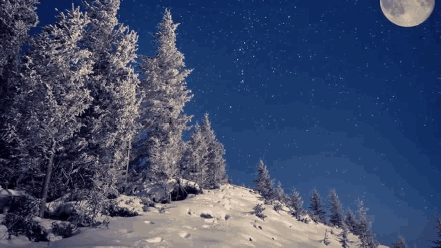 a full moon is visible in the night sky above a snowy forest