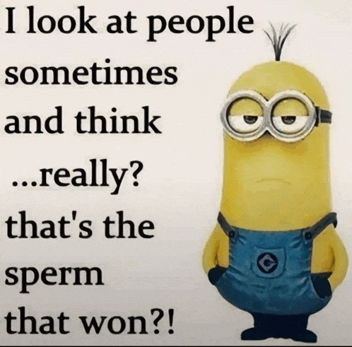 a picture of a minion with a caption that says " i look at people sometimes and think ... really "