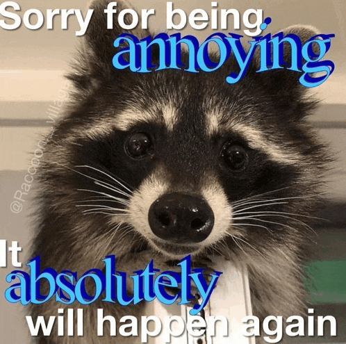 a raccoon with the words sorry for being annoying absolutely will happen again