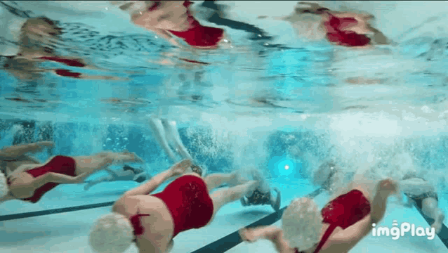 a group of women in red bathing suits are swimming underwater in a pool .