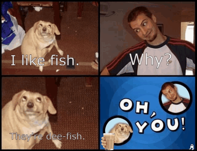 a collage of pictures of a dog and a man asking why they are dee-fish