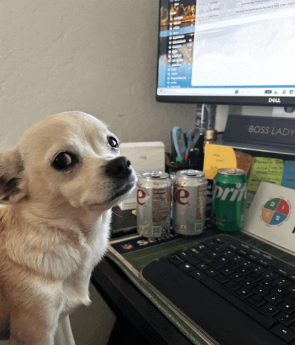 a can of sprite sits on a desk in front of a computer