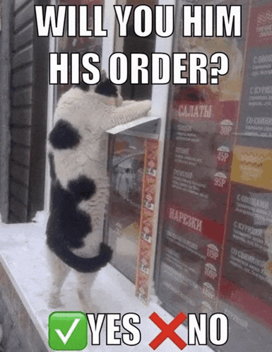 a black and white cat is standing in front of a window asking " will you him his order ? "