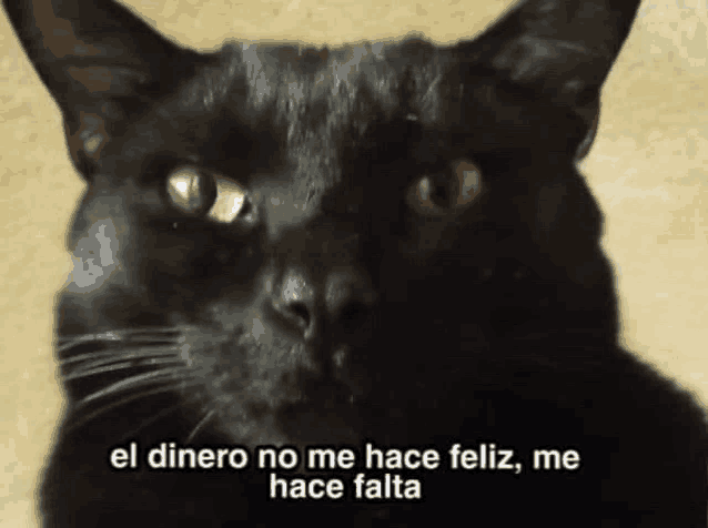 a black cat with the words el dinero no me hace feliz me hace falta