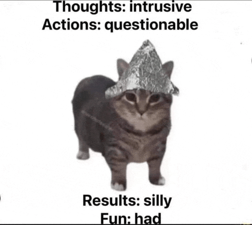 a cat wearing a tin foil hat is standing next to a white wall .