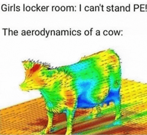 a colorful cow is standing on a wooden surface with a caption that says `` the aerodynamics of a cow '' .