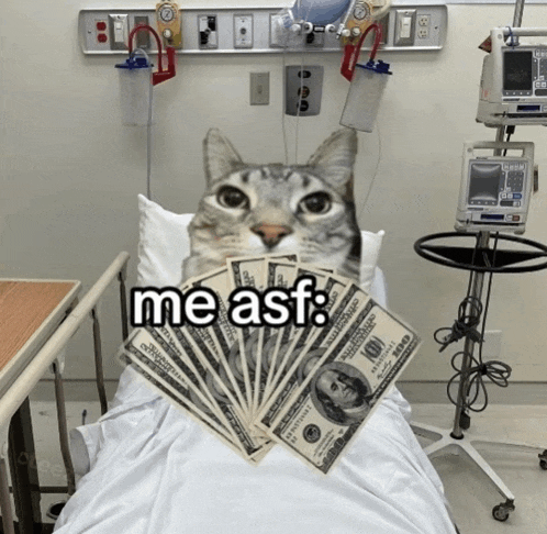 a cat laying in a hospital bed holding a fan of money and the words me asf