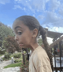 a little girl with a long braided ponytail is standing on a deck .