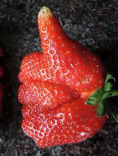 a strawberry shaped like a hand is giving a thumbs up sign