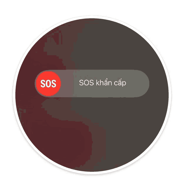 a circle with a red sos button in the middle