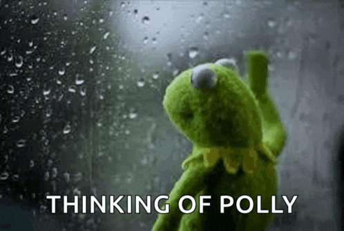 kermit the frog is looking out a window in the rain and thinking of polly .