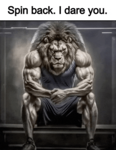 a very muscular lion is sitting down with the words spin back i dare you