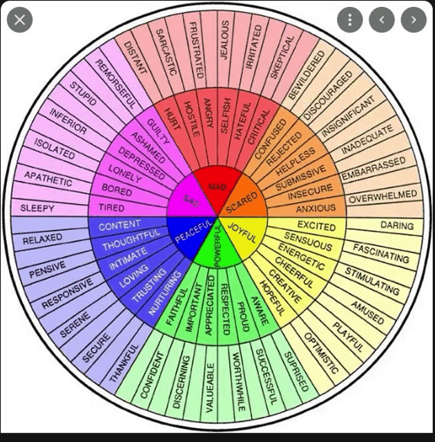 a wheel of emotions with a red circle in the middle that says mad