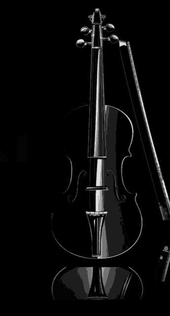 a black violin and bow on a black background