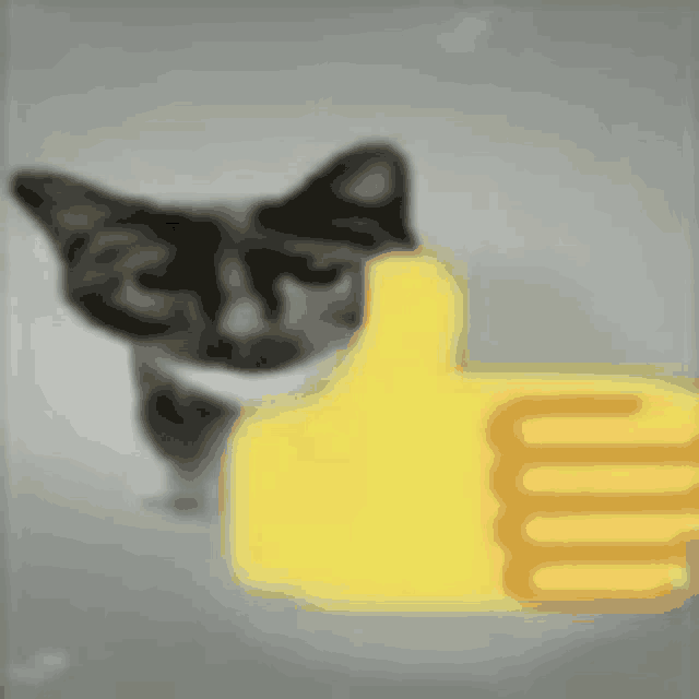 a black and white cat is giving a thumbs up .