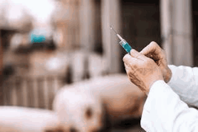 a doctor is holding a syringe with a blue liquid in his hands .