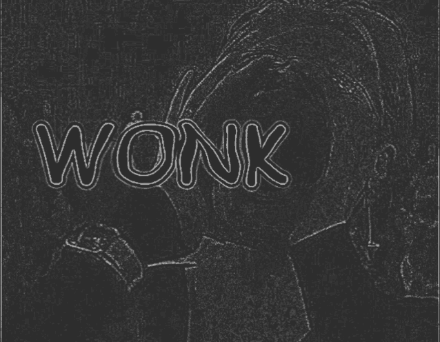 a black and white drawing of a person with the word wonk written in white