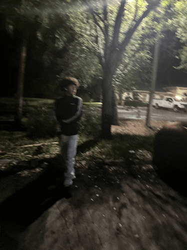 a blurry picture of a person walking in a park