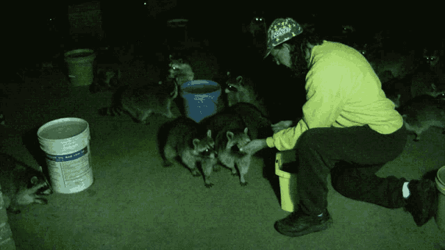 a man feeds a raccoon from a yellow bucket with a label that says ' i love you ' on it