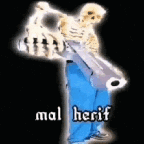 a skeleton is holding a gun with the words mal herif on it .