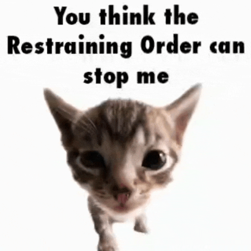 a kitten with the words `` you think the restraining order can stop me ''