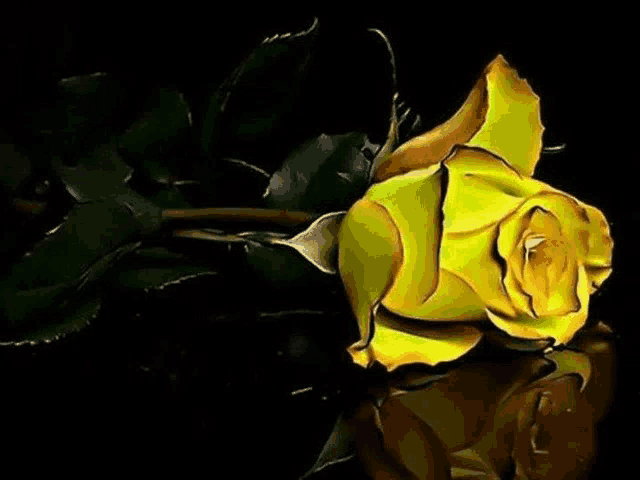 a yellow rose is sitting on a black surface with a reflection of it in the water .