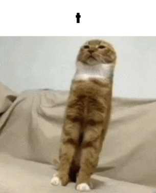 a cat is standing on its hind legs on a couch with a cross in the background