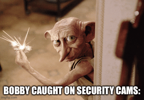 a picture of a dobby holding a sparkler with a caption that says bobby caught on security cams